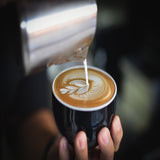 Barista Kit 3 Professional Starter Pack