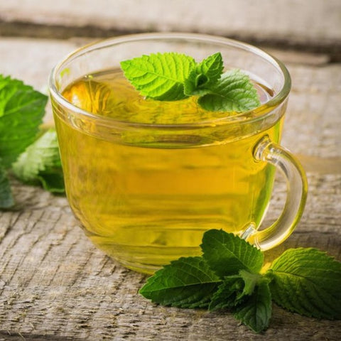 Da Vinci Peppermint Flavoured Syrup