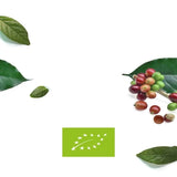 Lavazza La Reserva De Tierra! Alteco Bio-Organic Decaf Beans 500g